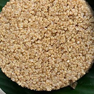 quinoa in malayalam
